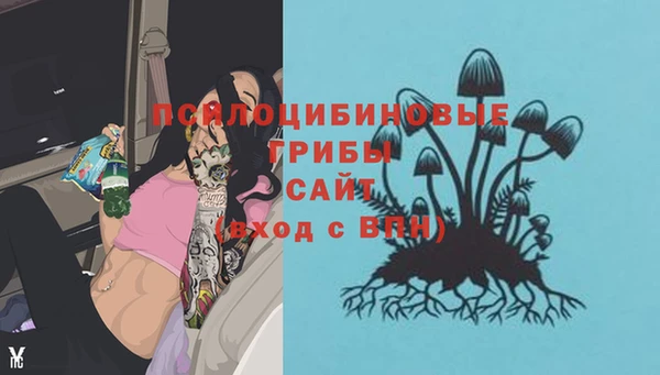 прущая мука Михайловск