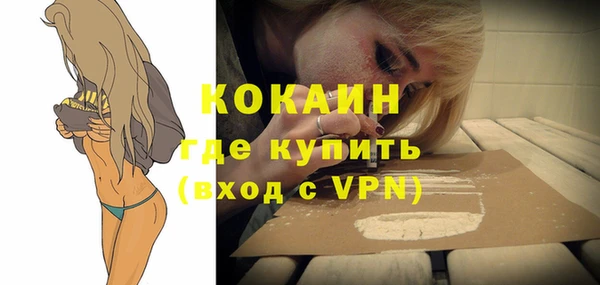 мдпв Михайлов