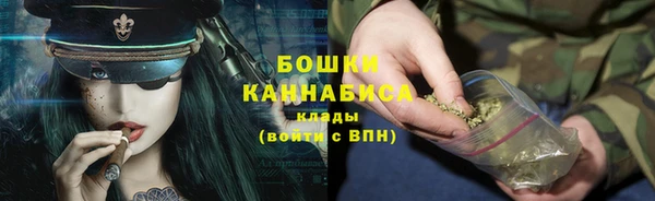 мдпв Михайлов