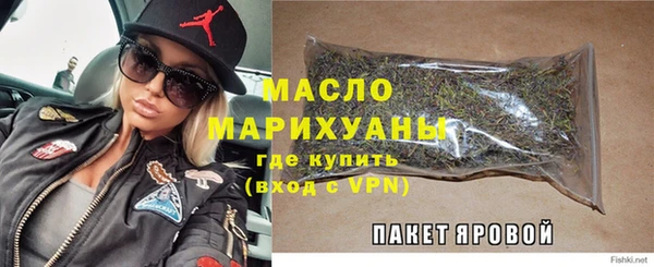 мдпв Михайлов