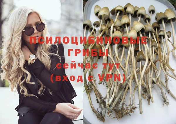 мдпв Михайлов