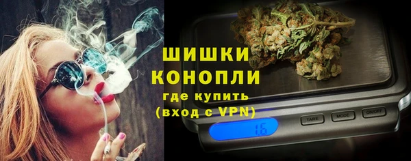 мдпв Михайлов