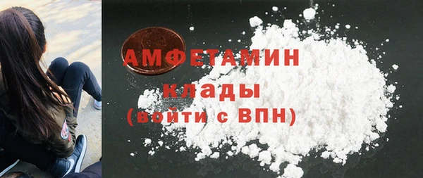 мдпв Михайлов